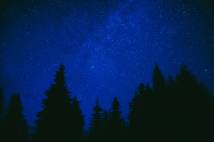 Stars against a blue sky at night with silhouettes o trees in the foreground