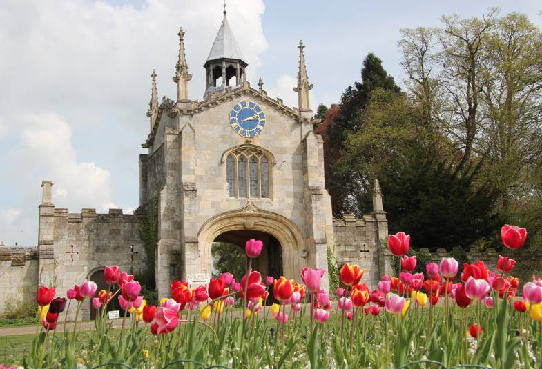 Bishopthorpe Gatehouse through bed of pink tulips