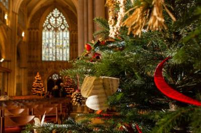 York Minster Christmas Tree